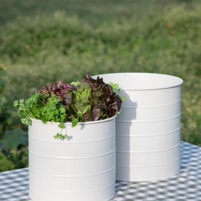 0585 Guf11 2025 Fs2026 Foto Ingavianden M9a0491 Srgb