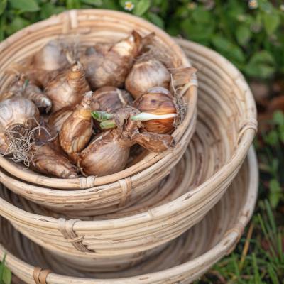 0827 Guf11 2025 Fs2026 Foto Ingavianden M9a0733 Srgb