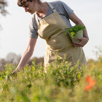 1757 Guf11 2025 Fs2026 Foto Ingavianden M9a1663 Srgb