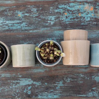 0953 Guf11 2025 Fs2026 Foto Ingavianden M9a0859 Srgb